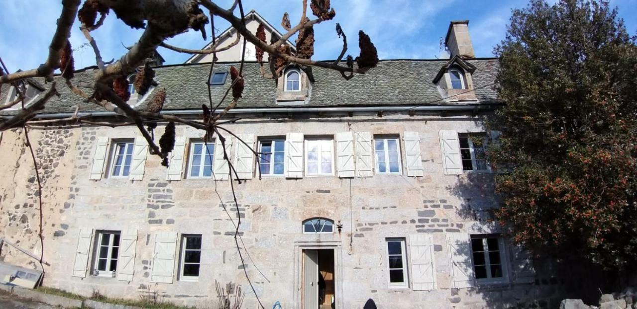 La Cure Grande Maison De Charme De 2 A 14 Personnes Saint-Urcize Екстер'єр фото